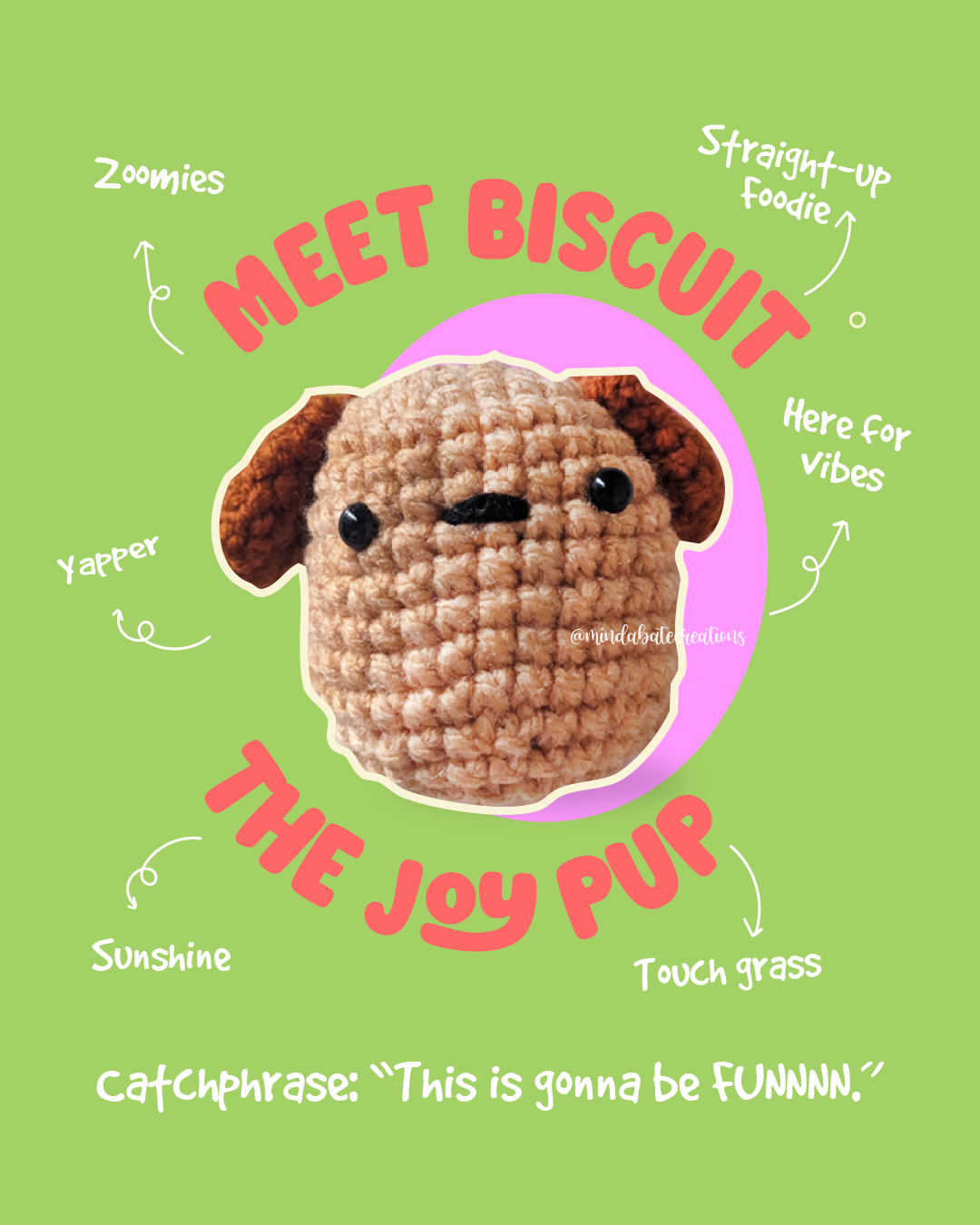 Biscuit Dog Beginner Crochet Kit Pakistan
